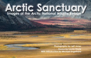 Arctic Sanctuary Book Cover
