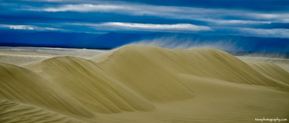 Kobuk Sand Dunes- Moe Witschard