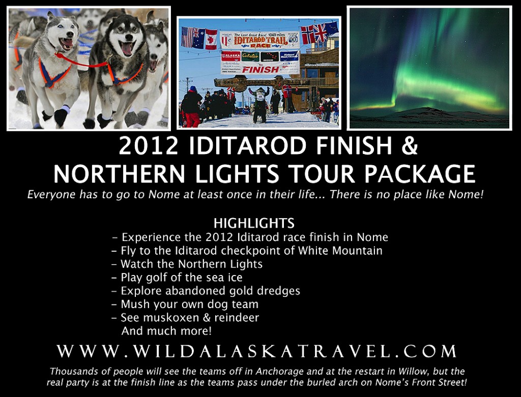 2012 Iditarod Finish & Northern Lights Tour Package